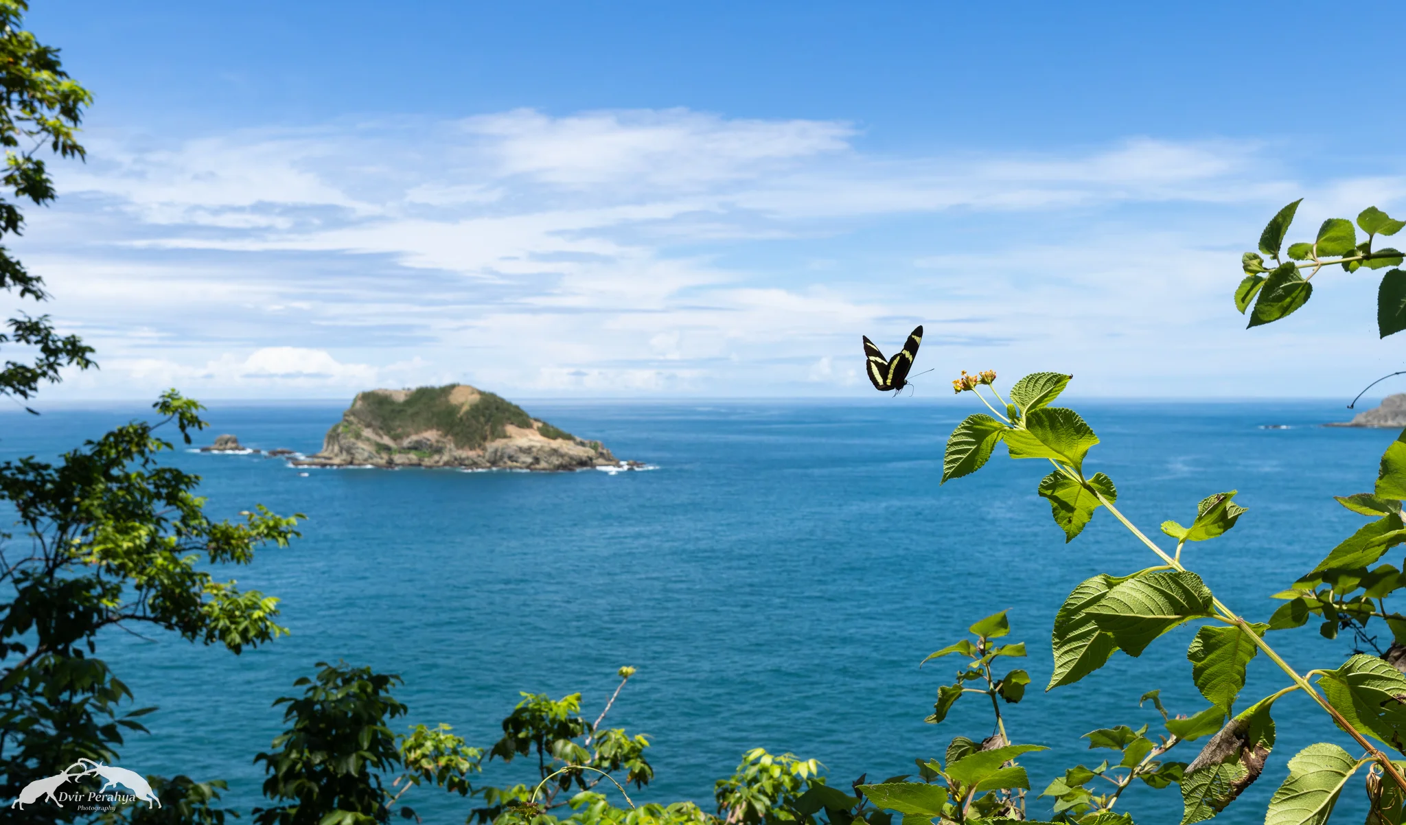 Costa Rica Wildlife